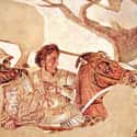 Alexander the Great on Random Kings And Queens Who Were Allegedly LGBTQ+