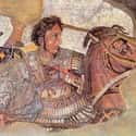 Alexander the Great on Random Signature Afflictions Suffered By History’s Most Famous Despots