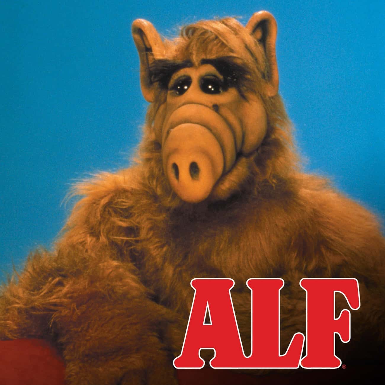 The 'ALF's Special Christmas' Episode Was Based On A Letter From A Little Girl Who Had Leukemia

