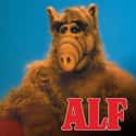 ALF on Random TV Shows Canceled Before Their Time