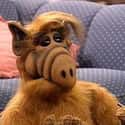 ALF on Random Characters Whose Real Names You Never Actually Knew