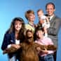 Mihaly 'Michu' Meszaros, Paul Fusco, Max Wright   ALF is an American sitcom that aired on NBC from September 22, 1986 to March 24, 1990. It was the first television series to be presented in Dolby Surround sound system.