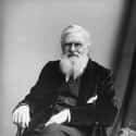 Dec. at 90 (1823-1913)   Alfred Russel Wallace OM FRS was a British naturalist, explorer, geographer, anthropologist, and biologist.