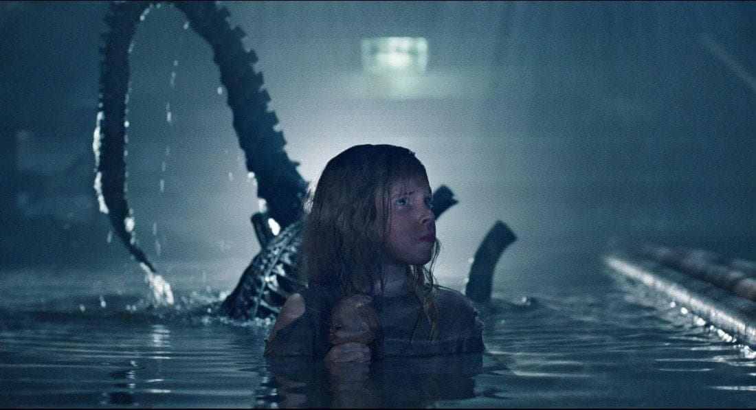 Most Thrilling Horror Movies, Ranked By Fans