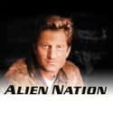 Alien Nation on Random TV Shows Canceled Before Their Time