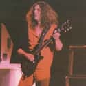 Larkin Allen Collins Jr. was one of the founding members and guitarists of Southern rock band Lynyrd Skynyrd, and co-wrote many of the band's songs with late frontman Ronnie Van Zant.
