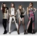2NE1 is listed (or ranked) 1 on the list List Of All Disbanded K-pop Girl Groups, Ranked
