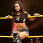 AJ Lee is listed (or ranked) 3 on the list Ladies of Wrestling