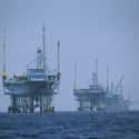 Altinex on Random Offshore Drilling Companies