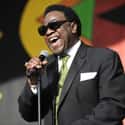 Al Green on Random Best Bands with Colors in Their Names