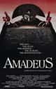 Amadeus Photo U13?auto=format&q=60&fit=crop&fm=pjpg&crop=faces&h=125&w=125