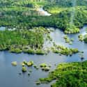 Amazon rainforest on Random Most Beautiful Natural Wonders In World