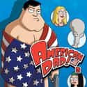 American Dad! - Season 2 on Random Best Seasons of 'American Dad'