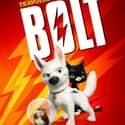 Bolt on Random Best Cat Movies
