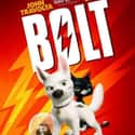 Bolt on Random Best Adventure Movies for Kids