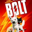 Bolt on Random Best Pop Culture Pet Names