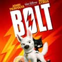 2008   Bolt tells the story of a dog who is convinced that his role as a super dog is reality. When he is ripped from his world of fantasy, and action by his own doing.