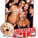 American Pie on Random Best Teen Movies of 1990s
