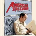 American Splendor on Random Great Quirky Movies for Grown-Ups