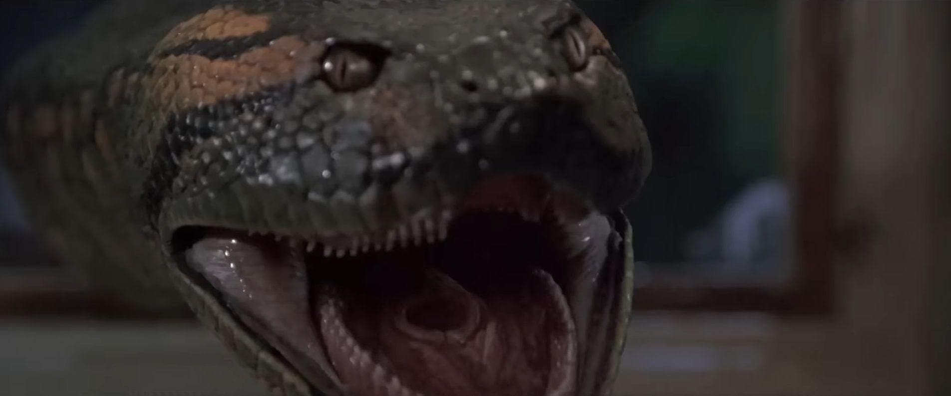 Underrated MidBudget Monster Movies That Deliver BigBudget Thrills