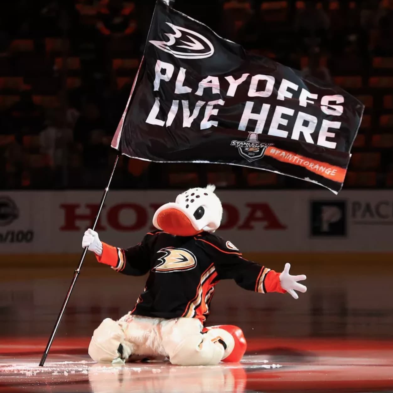 All 30 NHL Mascots, Ranked By Hockey Fans