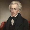 Andrew Jackson on Random Most Important Military Leaders In US History
