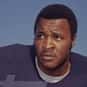 Bob Wallace is listed (or ranked) 46 on the list The Best Chicago Bears Wide Receivers of All Time