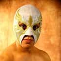 Argenis is listed (or ranked) 36 on the list The Best Lucha Underground Wrestlers Of All Time