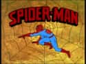 Spider-Man on Random Best TV Shows You Can Watch On Disney+