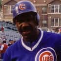 Andre Dawson on Random Best Black Baseball Players