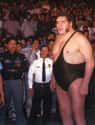 André the Giant on Random Best Pro Wrestling Champions