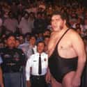 André the Giant on Random Ranking Greatest WWE Hall of Fame Inductees