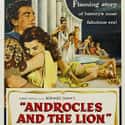 Androcles and the Lion on Random Best Roman Movies