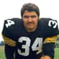 Andy Russell is listed (or ranked) 11 on the list The Best Pittsburgh Steelers Linebackers of All Time
