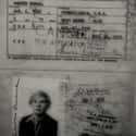 Andy Warhol on Random Celebrity Passport Photos