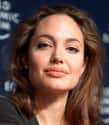 Angelina Jolie on Random Actors Who Actually Do Their Own Stunts