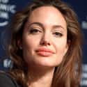 Angelina Jolie on Random Actors Who Actually Do Their Own Stunts