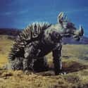 Anguirus on Random Best Monsters From The 'Godzilla' Movies