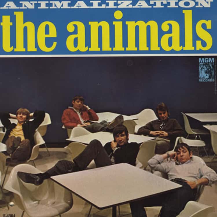 List of All Top Animals Albums, Ranked