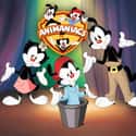 Animaniacs on Random TV Shows Canceled Before Their Time