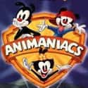Animaniacs on Random Best Cartoons of the '90s