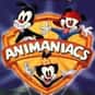 Rob Paulsen, Jess Harnell, Tress MacNeille   Animaniacs is an American animated television series, distributed by Warner Bros. Television and produced by Amblin Entertainment and Warner Bros.