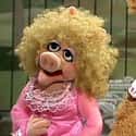 Annie Sue on Random Most Interesting Muppet Show Characters