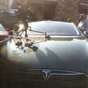 Anthony Bourdain on Random Celebrities Who Drive Teslas