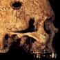 Anthropology is listed (or ranked) 12 on the list What Was (or Is) Your Major?