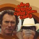 Clint Eastwood, Glen Campbell, Ruth Gordon   Any Which Way You Can is a 1980 American action comedy film, starring Clint Eastwood, Sondra Locke, Geoffrey Lewis, William Smith, and Ruth Gordon. It is directed by Buddy Van Horn.