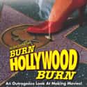 An Alan Smithee Film: Burn Hollywood Burn on Random Worst Movies