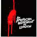 An American Werewolf in London on Random Best Horror Movies