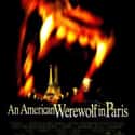 An American Werewolf in Paris on Random Most Pun-Tastic Horror Movie Taglines