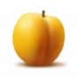 Apricot is listed (or ranked) 2 on the list High Fiber Foods | Fiber For A Healthy Diet